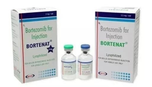 硼替佐米 万珂 Bortezomib（RXA）